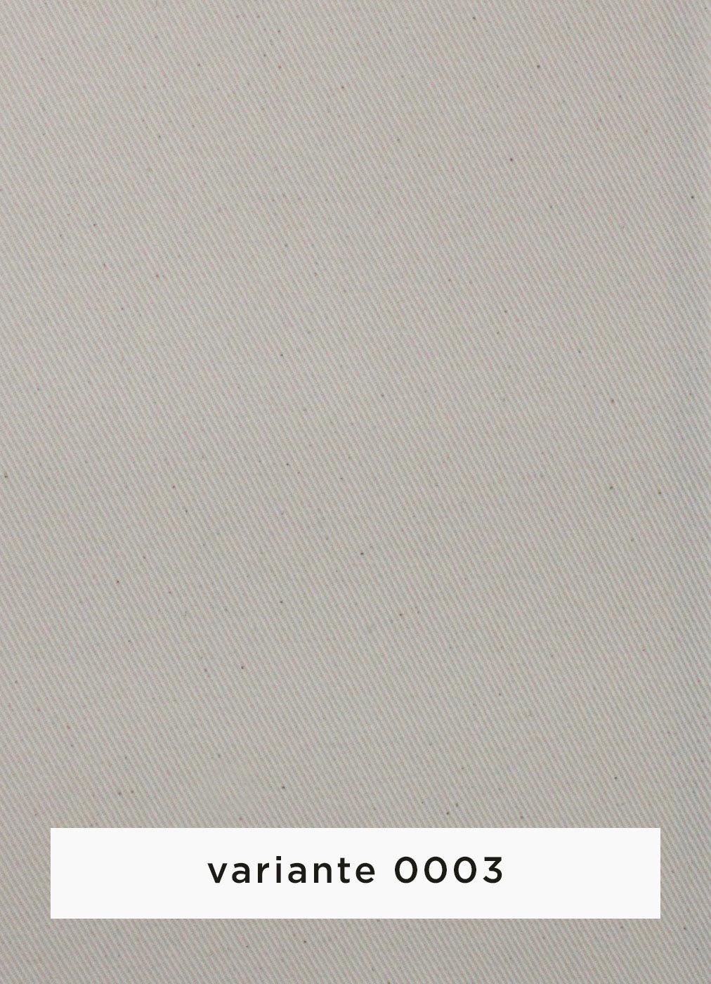 100b.jpg