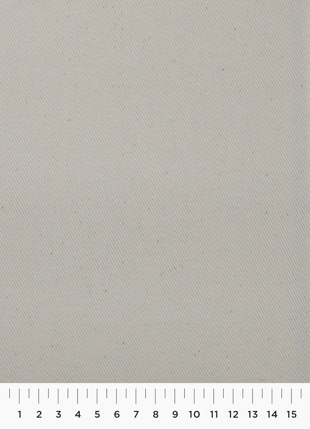 100c.jpg