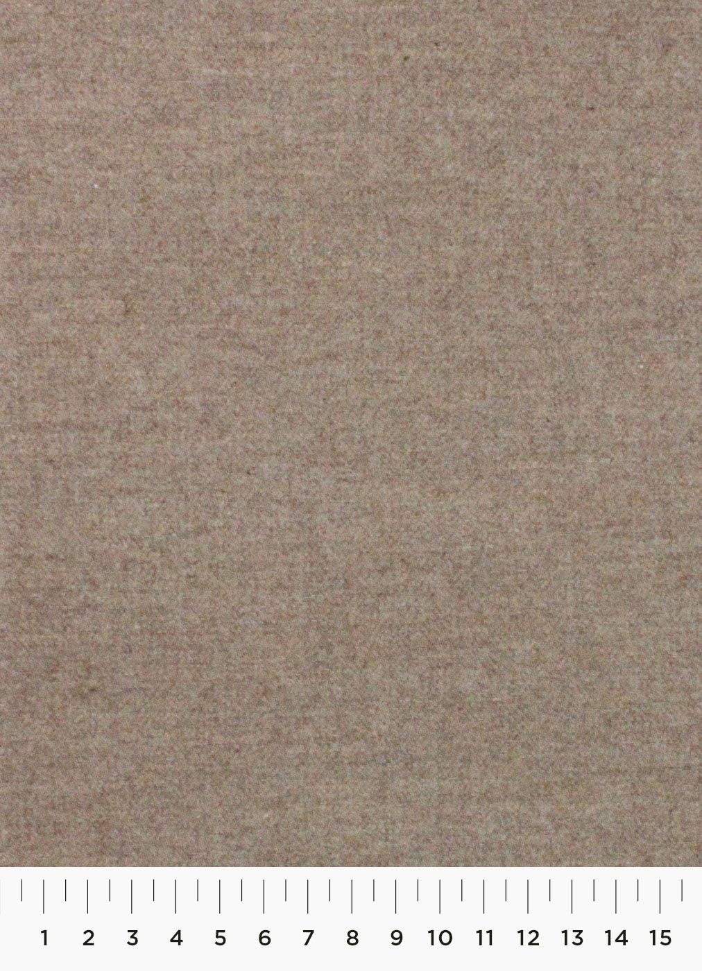 131c.jpg