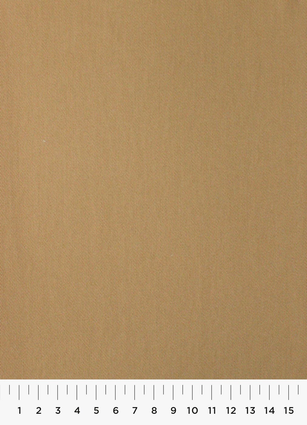 19c-1.jpg