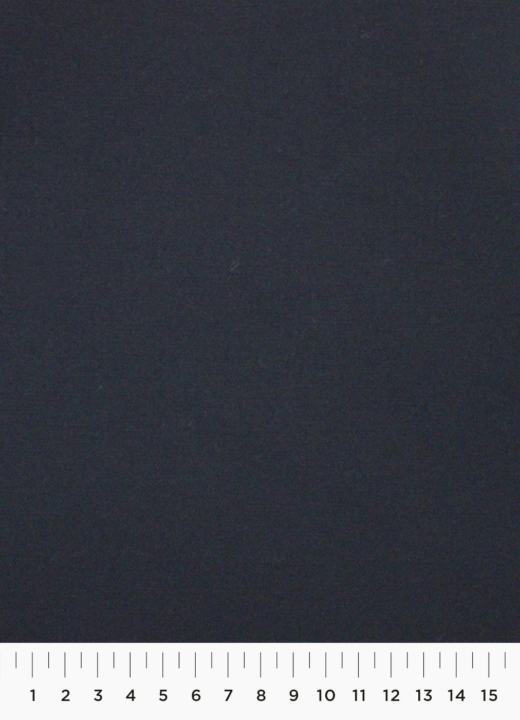 21c.jpg