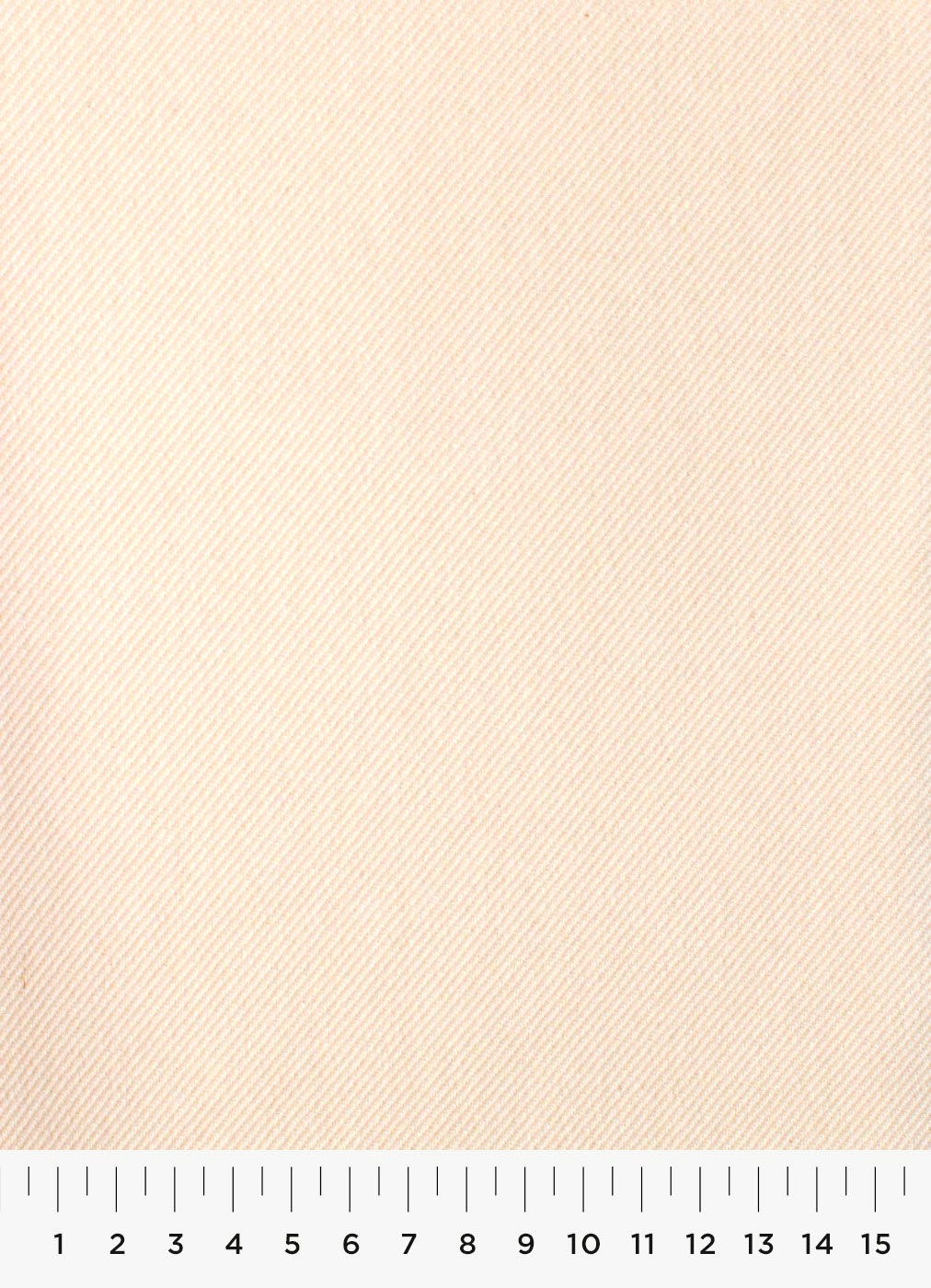 22c-1.jpg