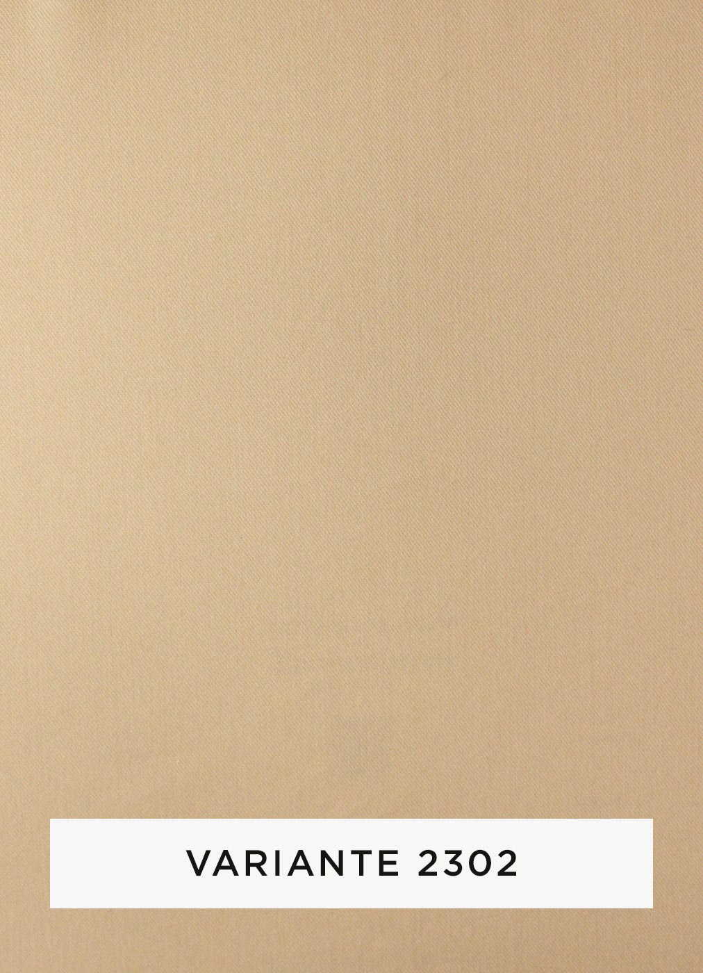 299b.jpg