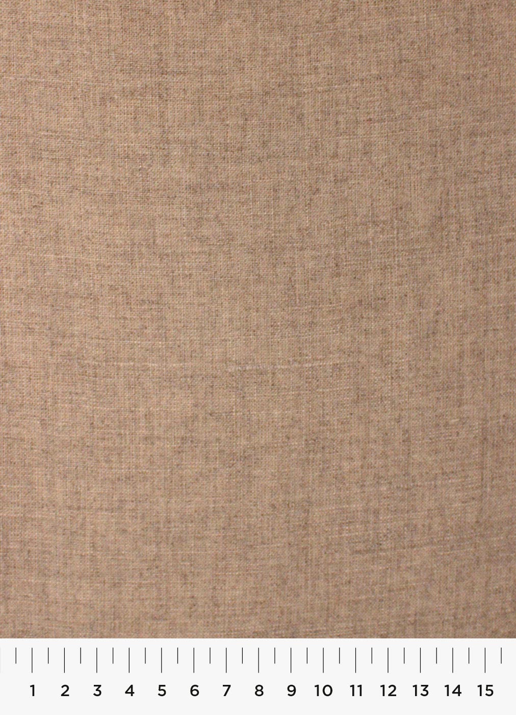 2c-2.jpg