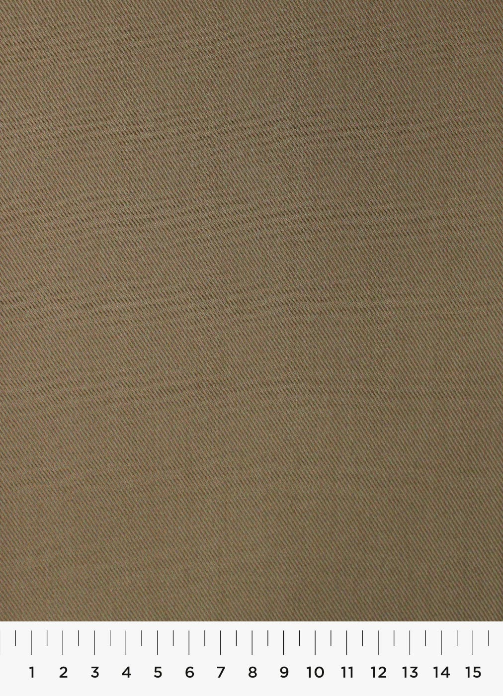 31c.jpg