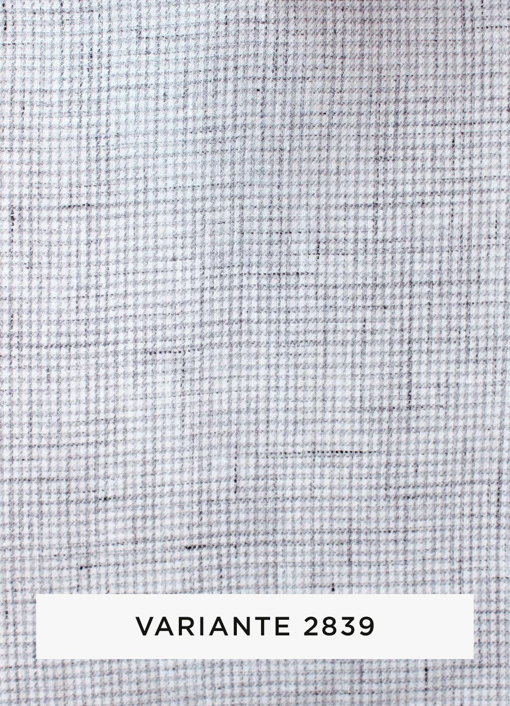 339b.jpg