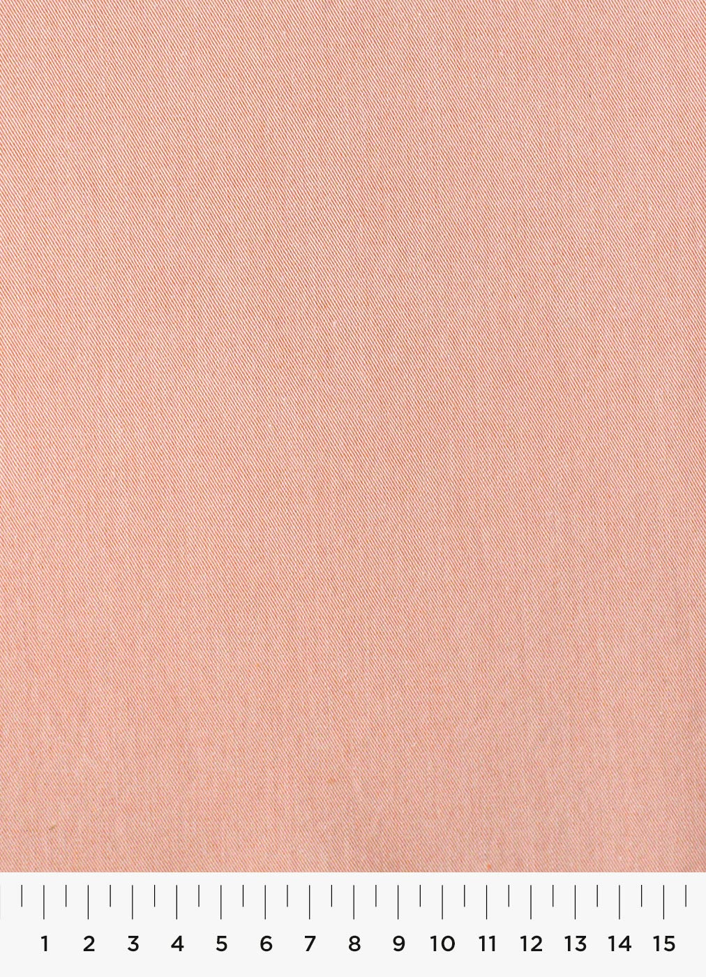 361c.jpg