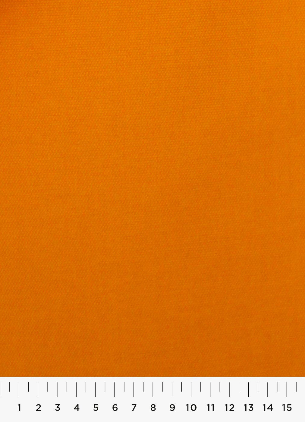 369c.jpg