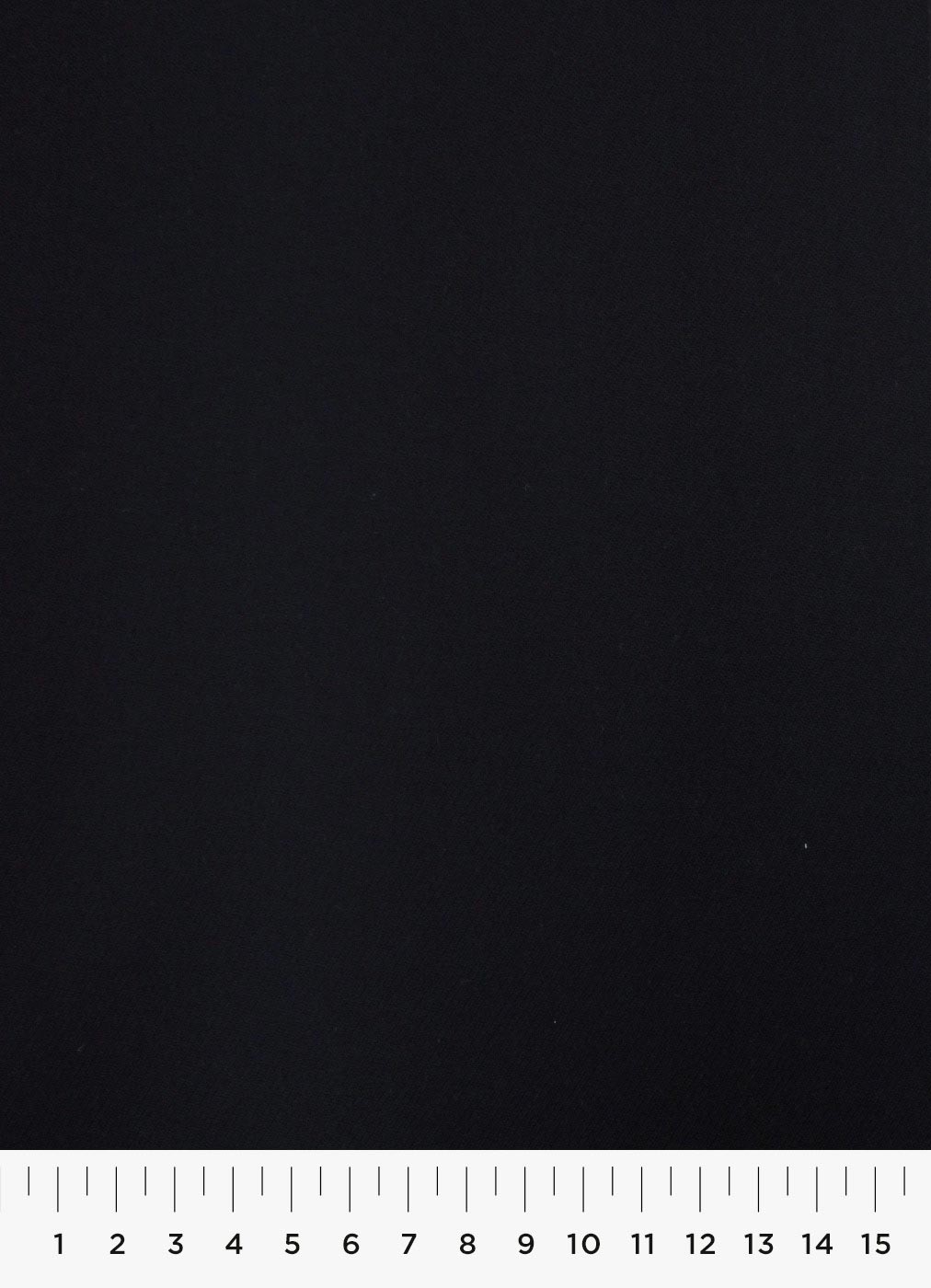 381c.jpg