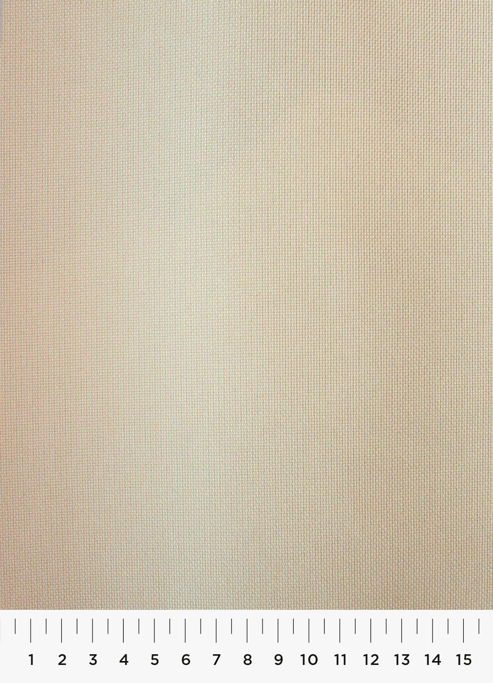383c.jpg