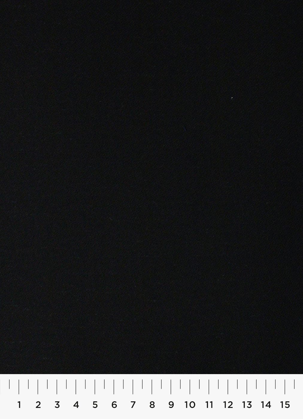 439c.jpg