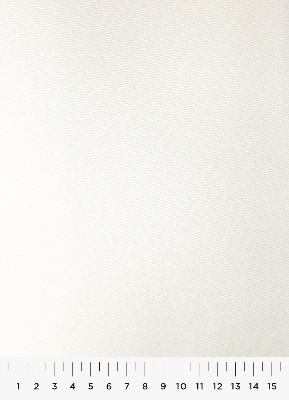 455c.jpg
