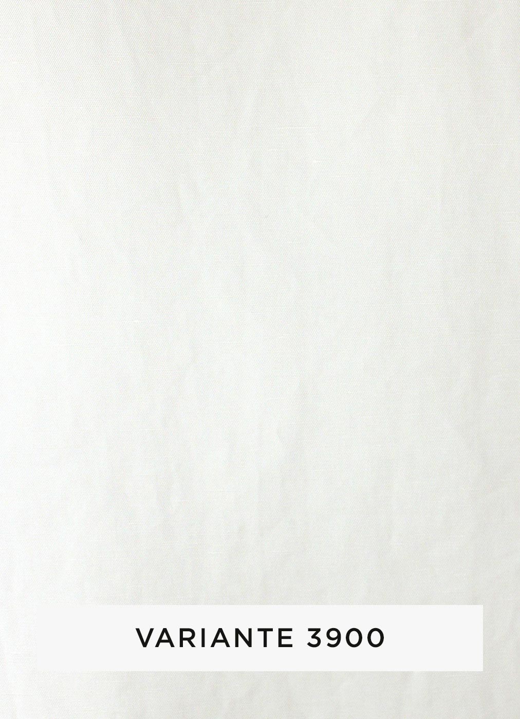 462b.jpg