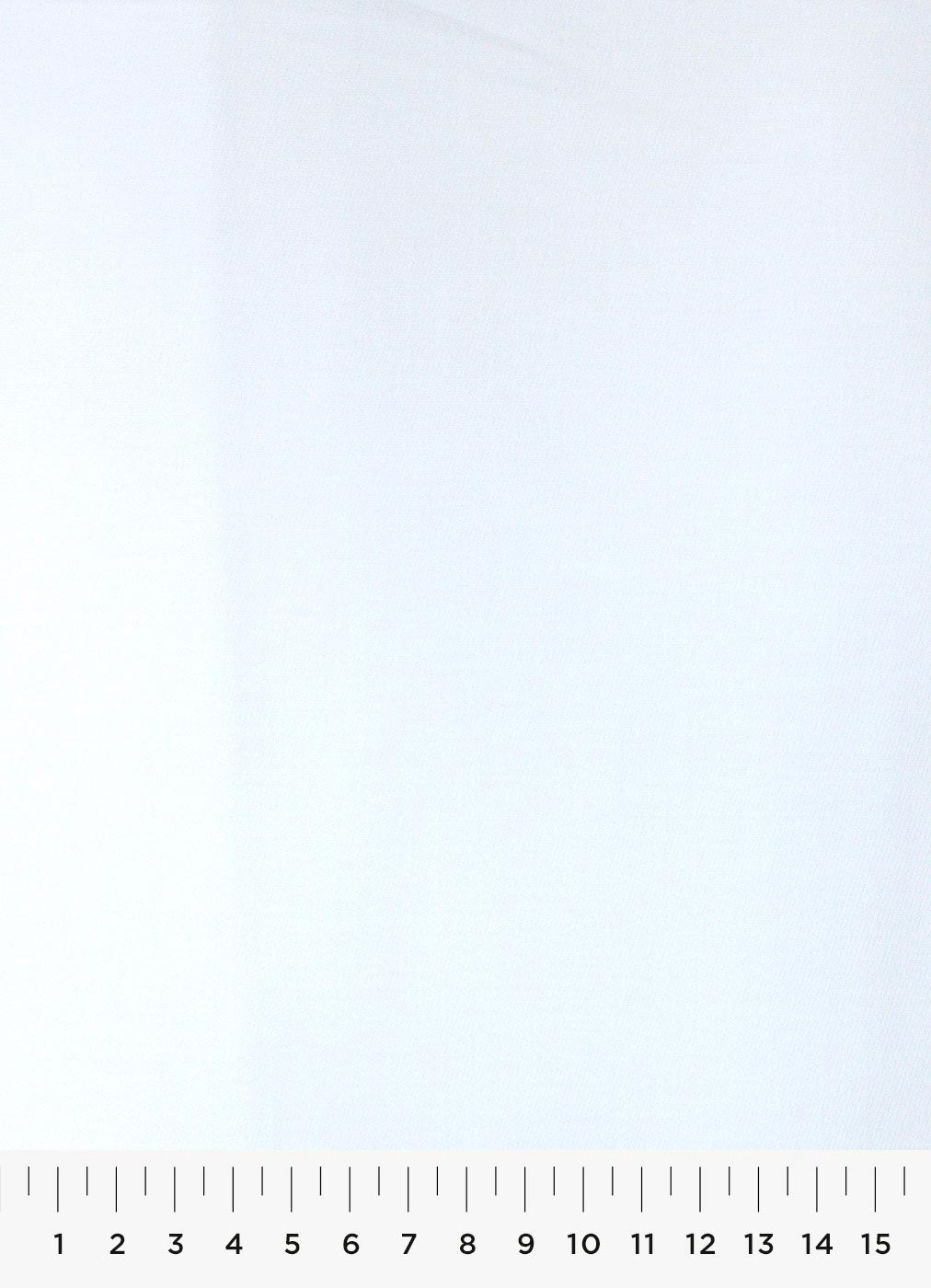 479c.jpg