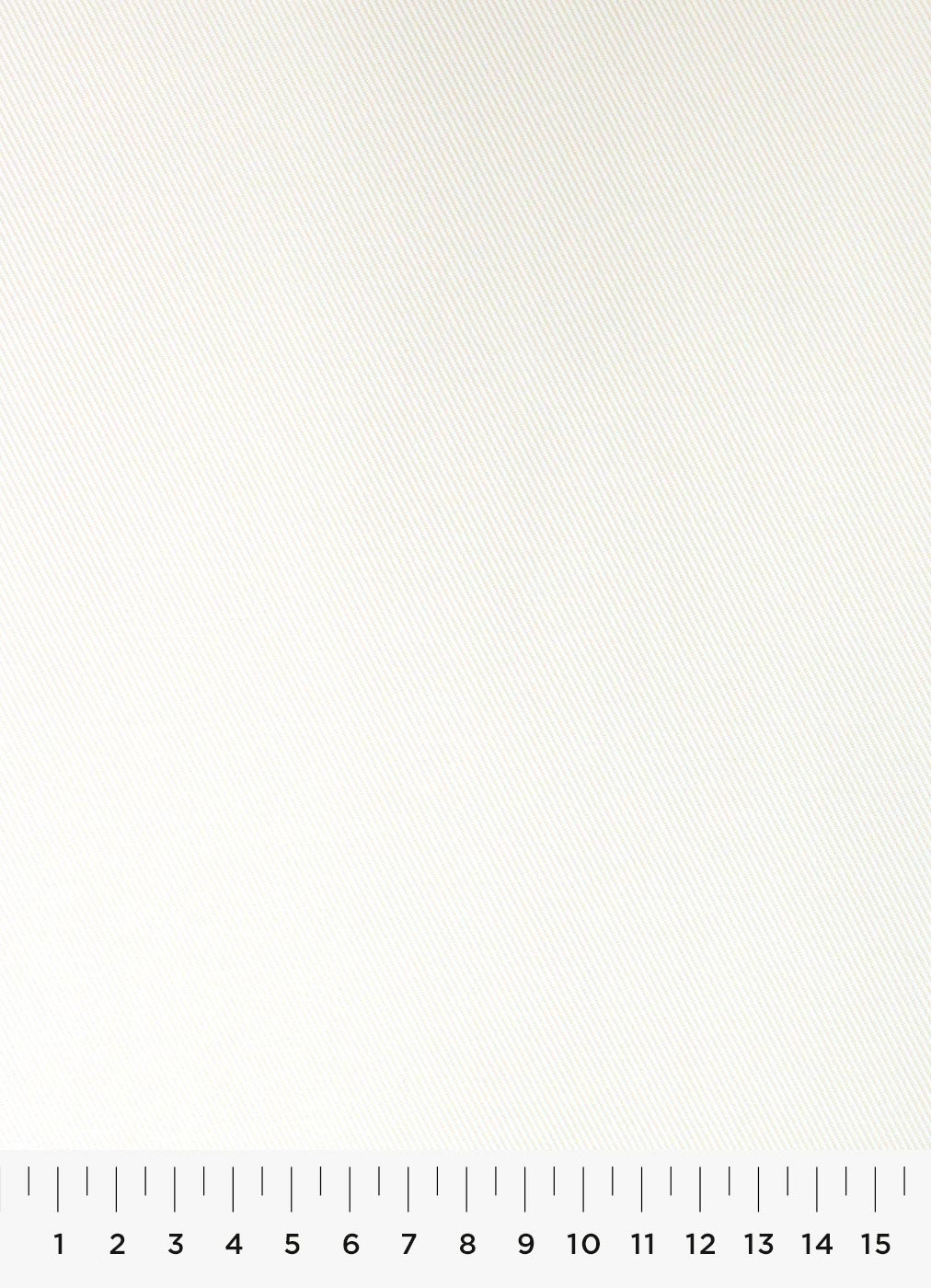 491c.jpg