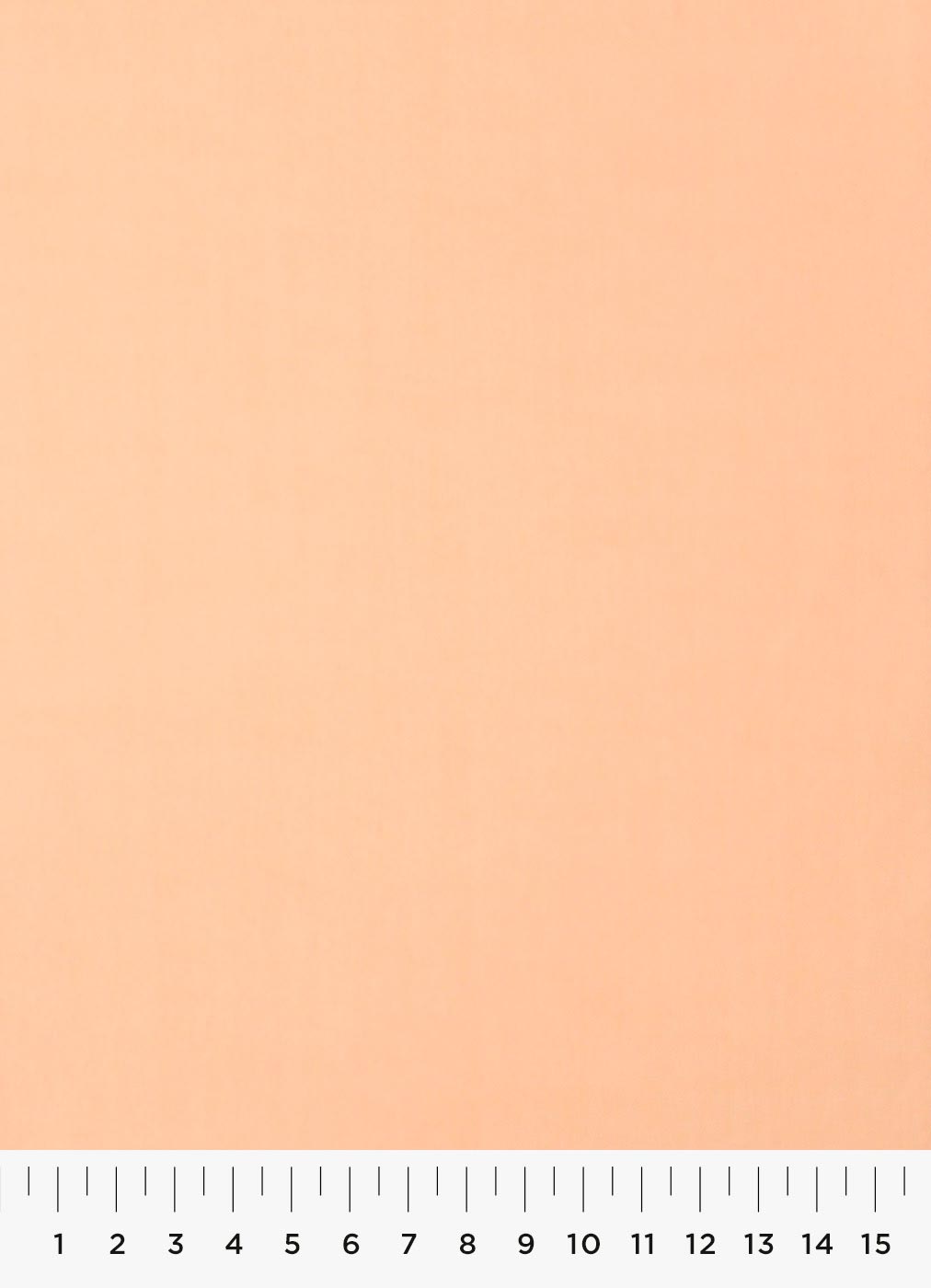 51c-1.jpg