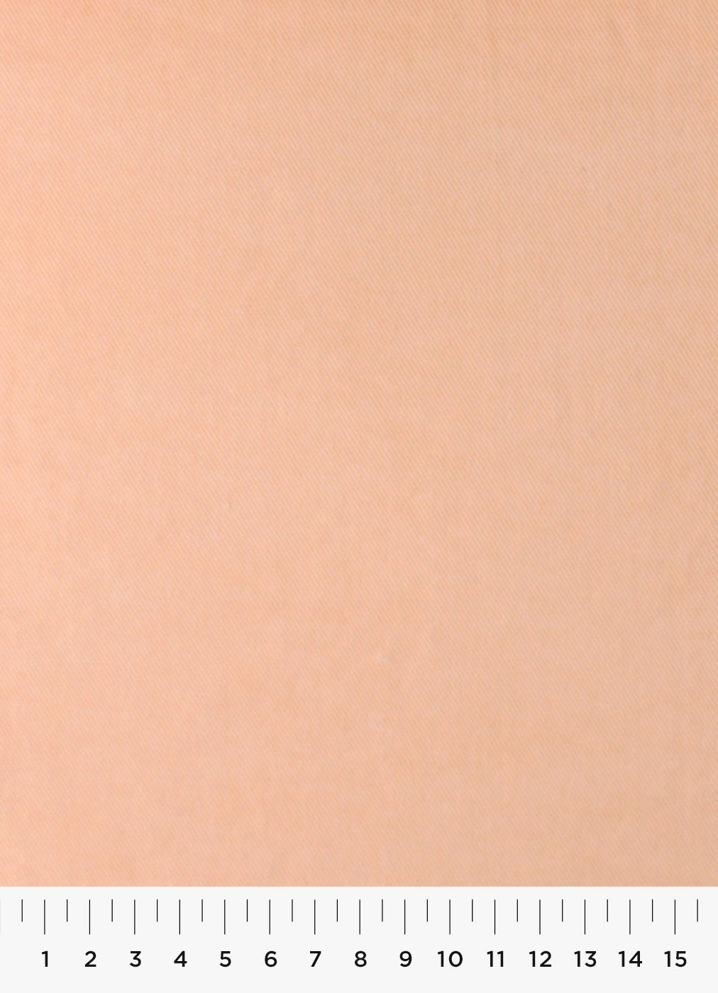 54c-1.jpg