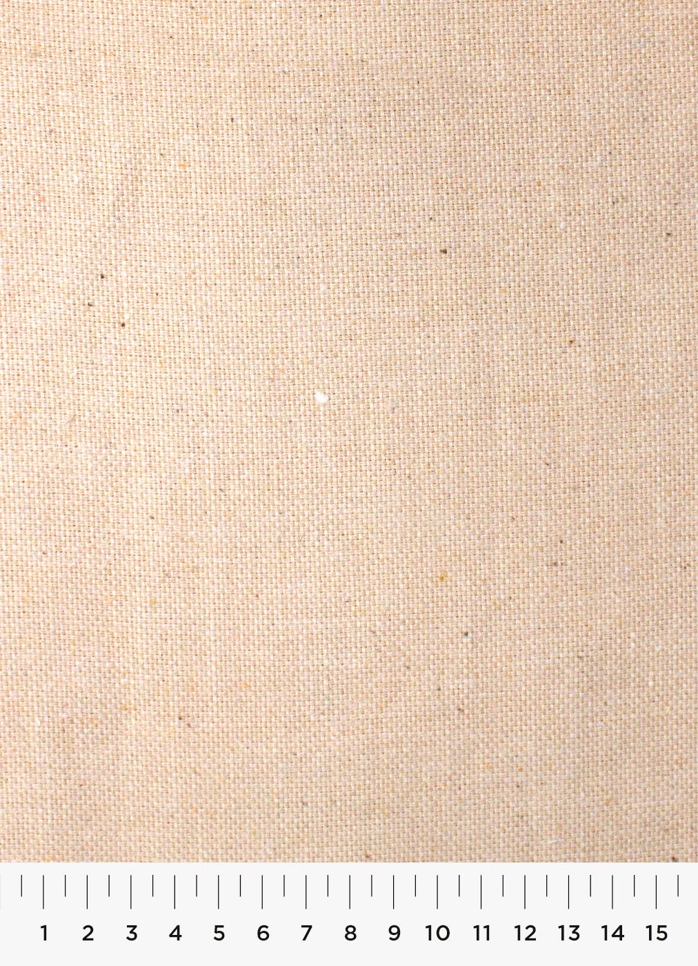 6c.jpg