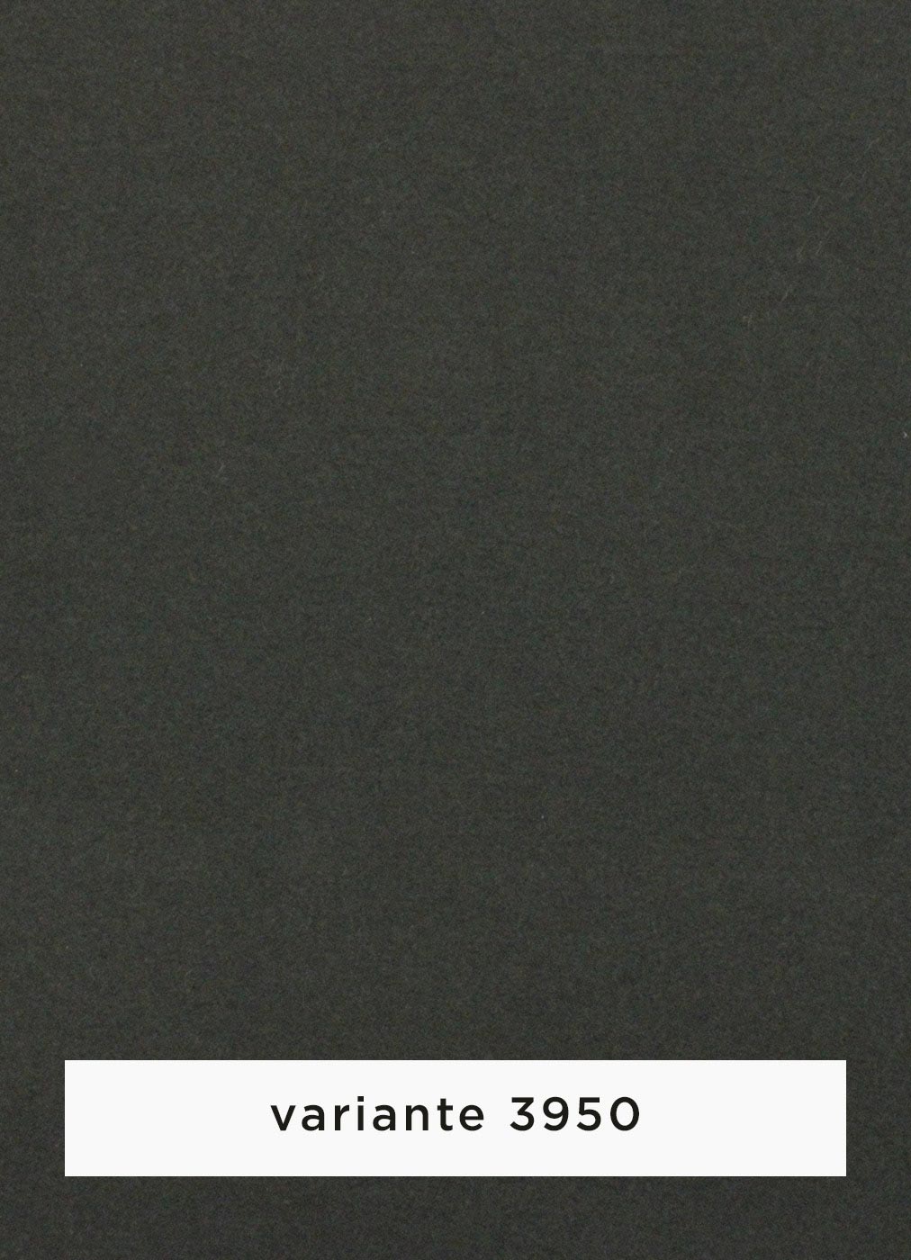 73b.jpg