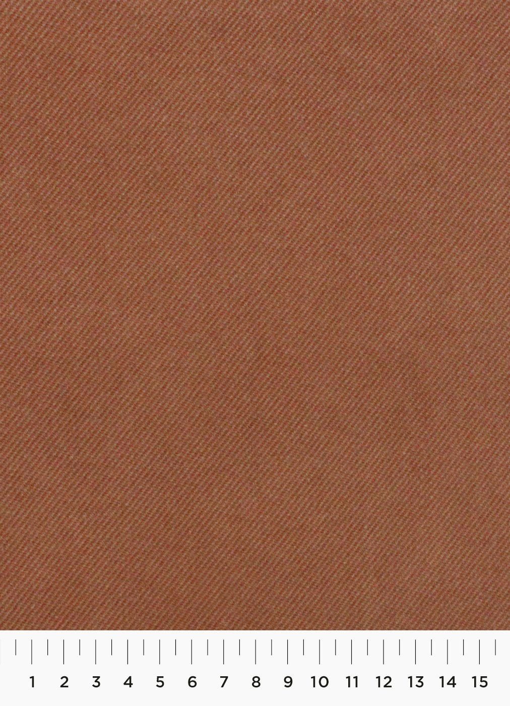 81c.jpg