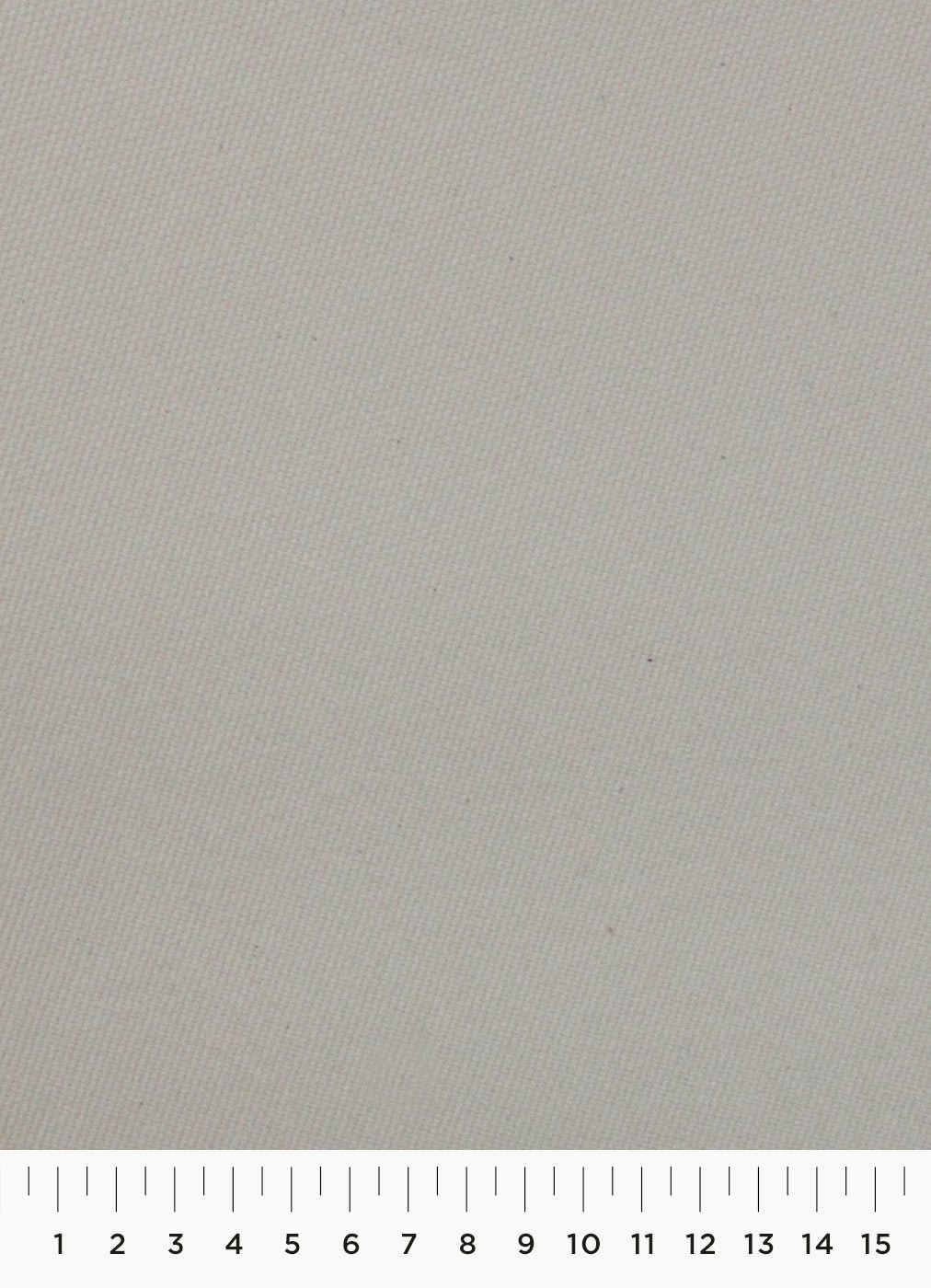 91c.jpg