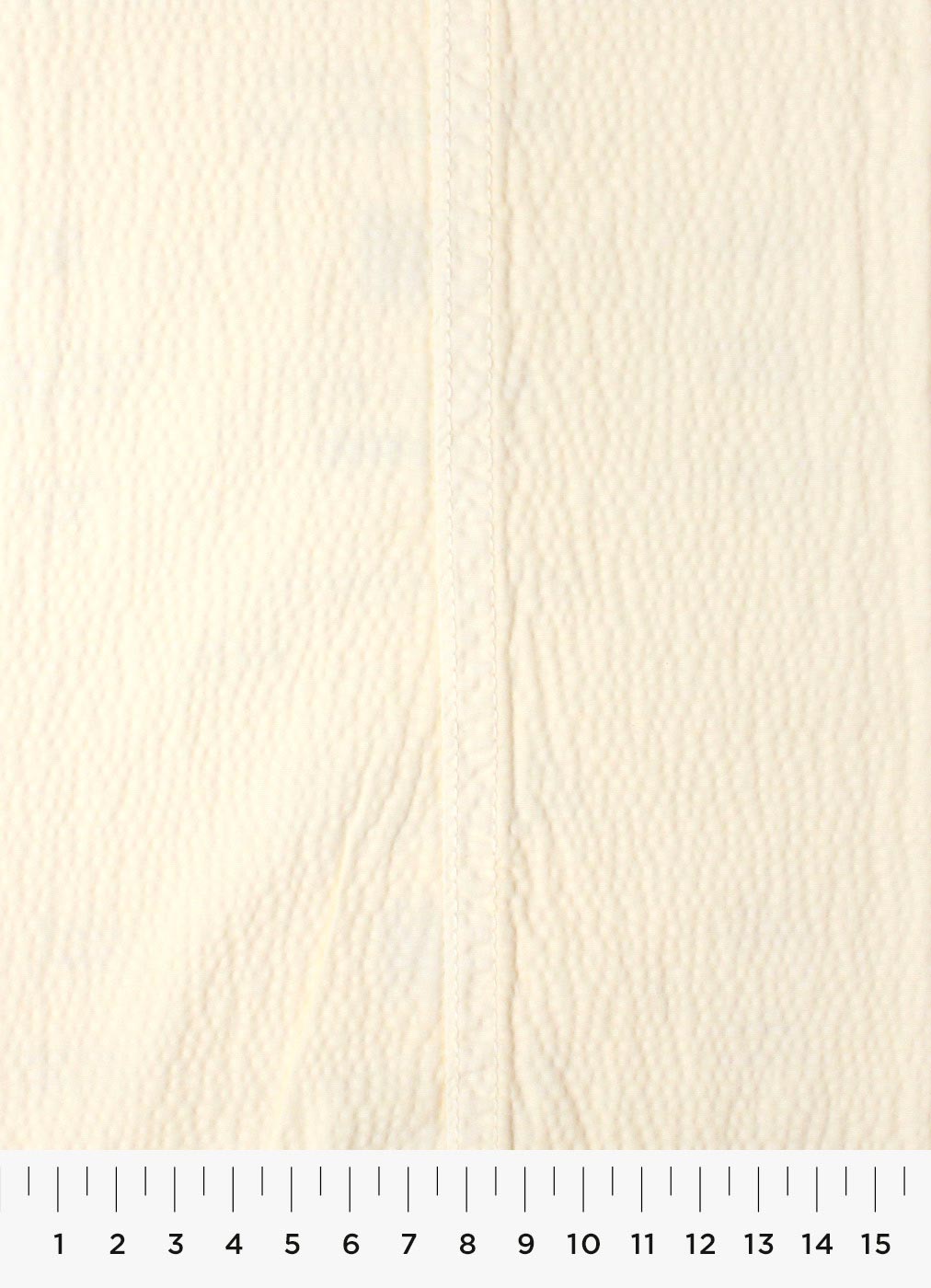 95c-1.jpg